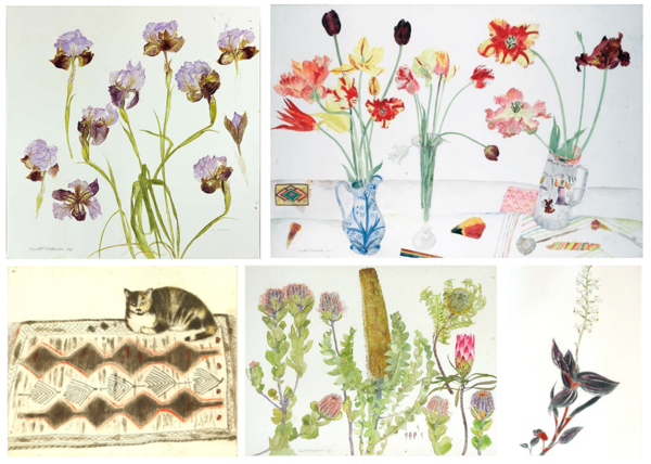 elizabethblackadderwork