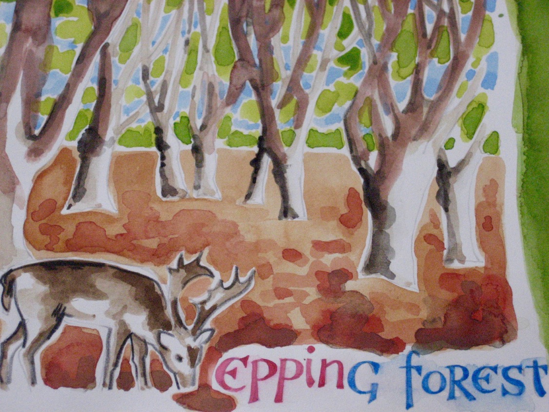 IMG_0353 Taken from our design for Essex